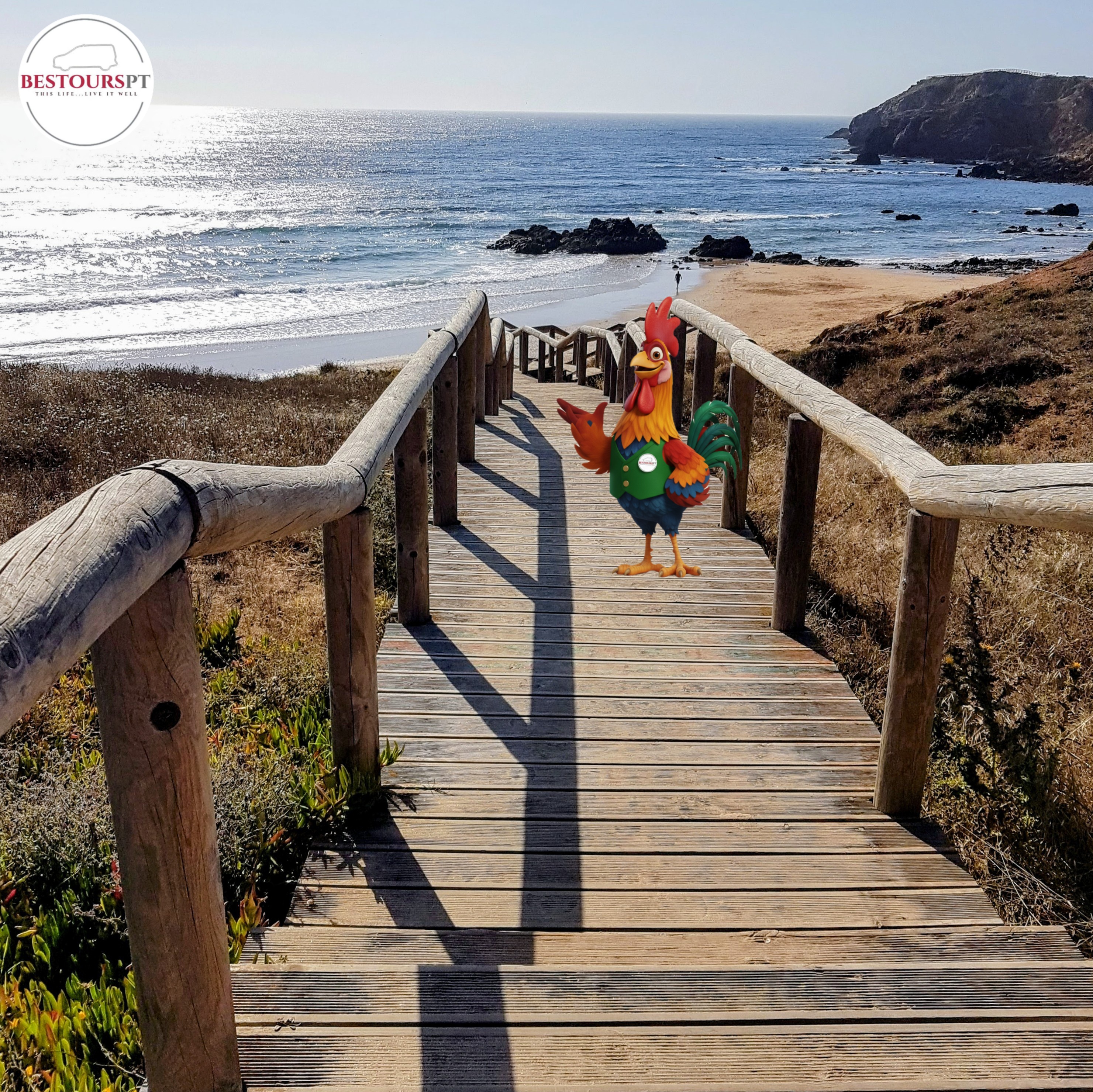 VICENTINE COAST TOUR 2 DAYS - 12 BEACHES